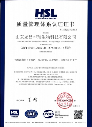 ISO9001質(zhì)量體系管理認證證書(shū)