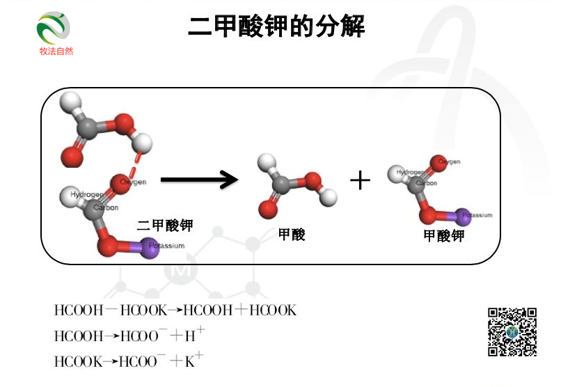 微信圖片_20200624081542.png