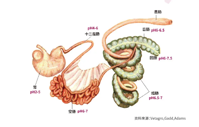 微信圖片_20200513094812.png