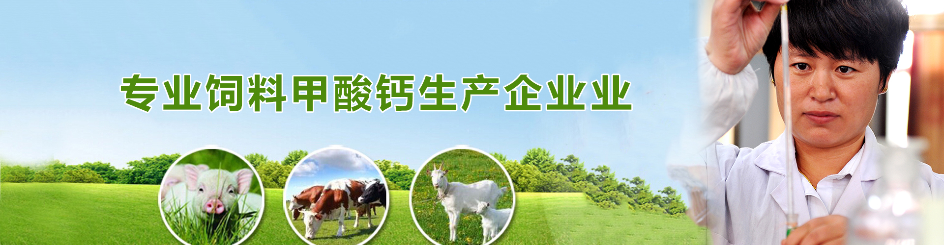 專(zhuān)業(yè)飼料級甲酸鈣生產(chǎn)企業(yè)